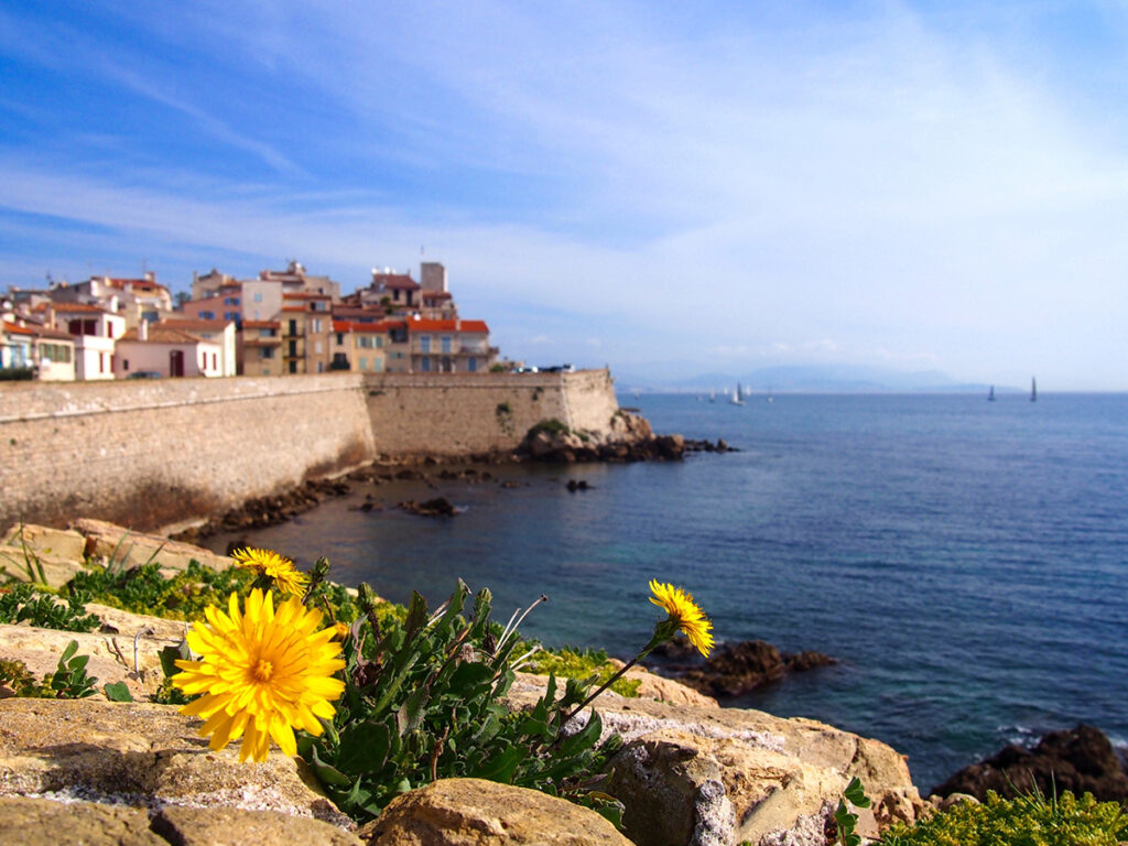 Antibes has a rich historic and architectural past. The town has been well preserved and renovated. Ancient squares, medieval streets, typical provençal houses and pine trees all add to the picturesque charm of this location.